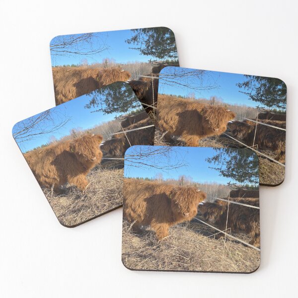 Artikelvorschau, Scottish Highland Cattle Calves 4391 entworfen und verkauft von SaarelaHighland.