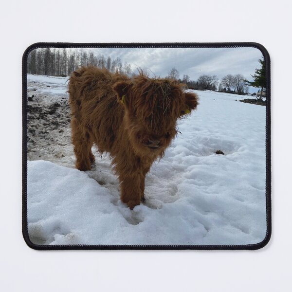 Item preview, Scottish Highland Cattle Calf 4392 designed and sold by SaarelaHighland.