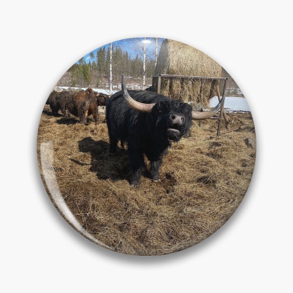 Artikelvorschau, Scottish Highland Cattle Bull 4394 entworfen und verkauft von SaarelaHighland.