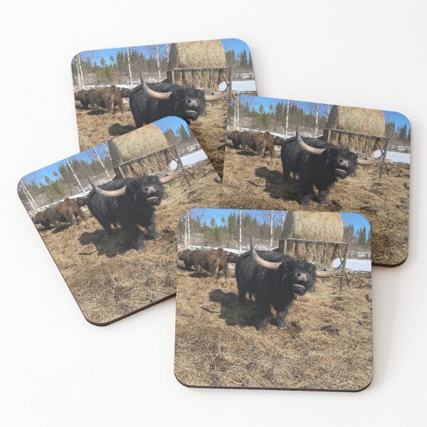 Artikelvorschau, Scottish Highland Cattle Bull 4394 entworfen und verkauft von SaarelaHighland.