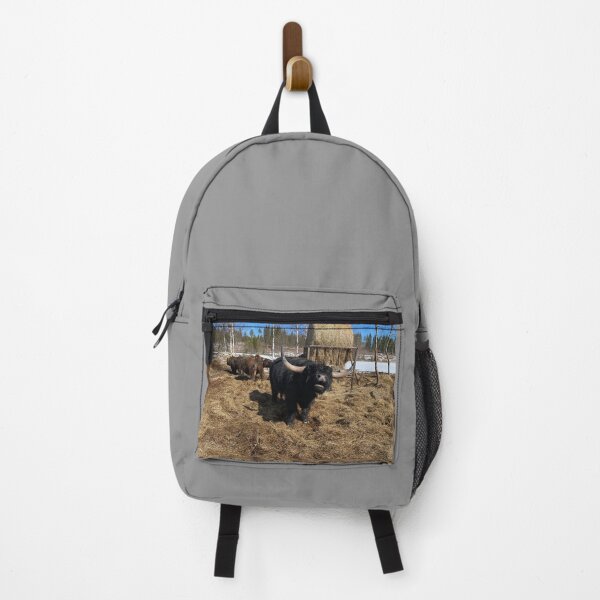 Item preview, Scottish Highland Cattle Bull 4394 designed and sold by SaarelaHighland.