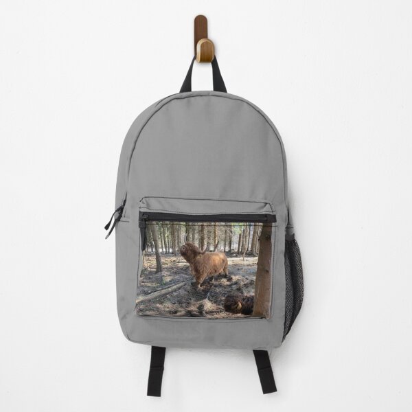 Item preview, Scottish Highland Cattle Cow 4395 designed and sold by SaarelaHighland.