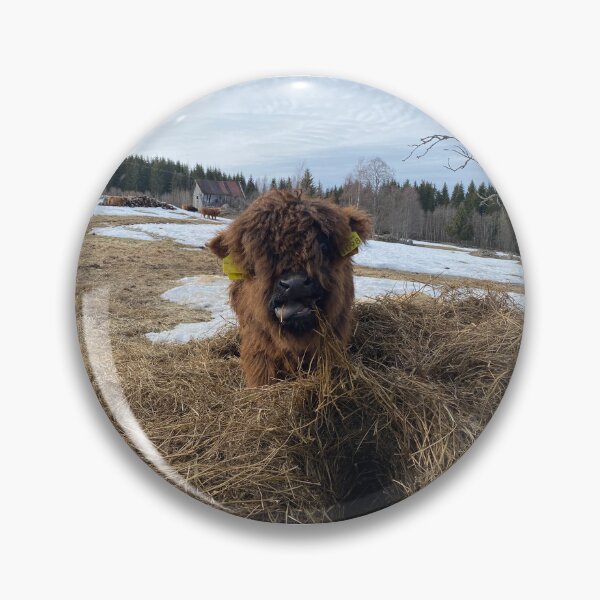 Item preview, Scottish Highland Cattle Calf 4396 designed and sold by SaarelaHighland.