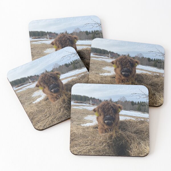 Item preview, Scottish Highland Cattle Calf 4396 designed and sold by SaarelaHighland.