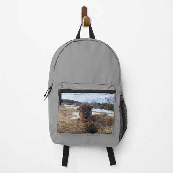 Item preview, Scottish Highland Cattle Calf 4396 designed and sold by SaarelaHighland.
