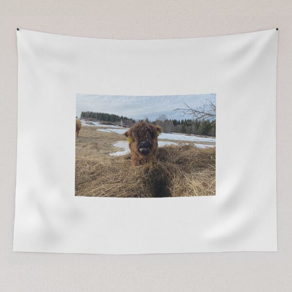 Item preview, Scottish Highland Cattle Calf 4396 designed and sold by SaarelaHighland.