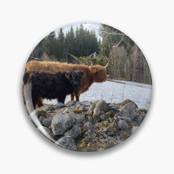 Item preview, Scottish Highland Cattle Cow and calf 4397 designed and sold by SaarelaHighland.