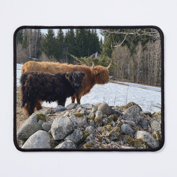 Item preview, Scottish Highland Cattle Cow and calf 4397 designed and sold by SaarelaHighland.