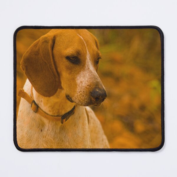 Item preview, cla hound designed and sold by pcfyi.