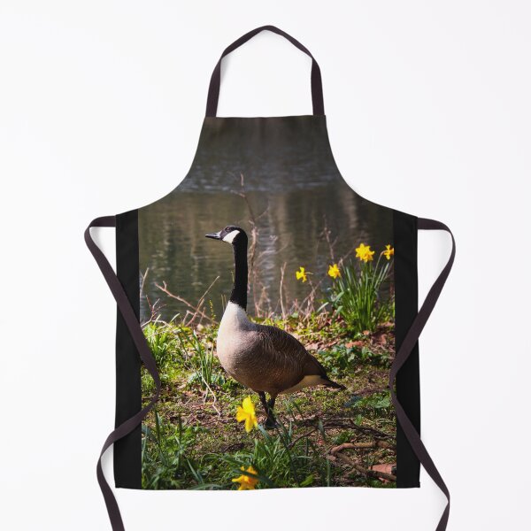 Item preview, Canada goose on lake - Branta canadensis designed and sold by Ruhrpottpicture.
