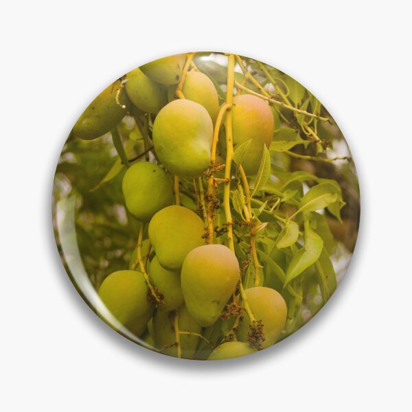 Item preview, cla mangoes designed and sold by pcfyi.