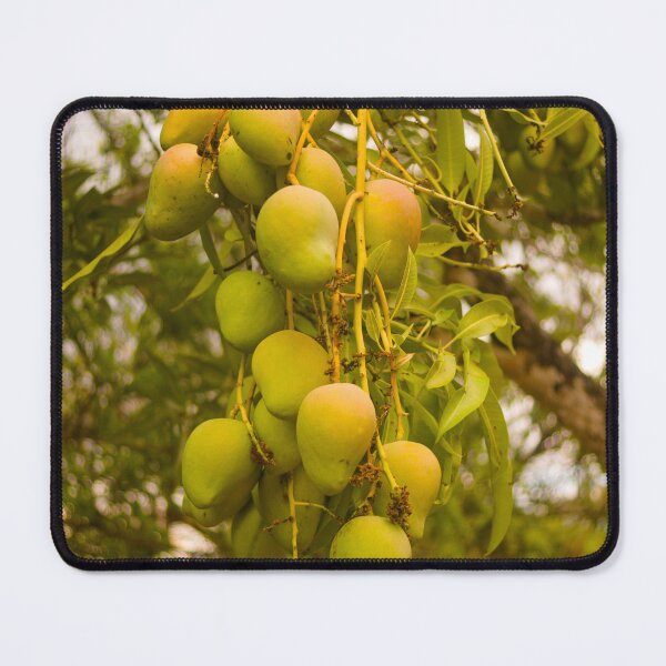 Item preview, cla mangoes designed and sold by pcfyi.