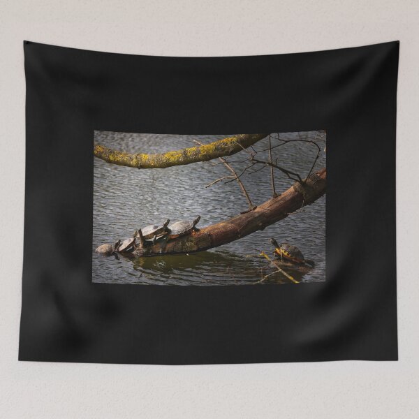 Item preview, Red cheeked slider turtle sunbathing designed and sold by Ruhrpottpicture.