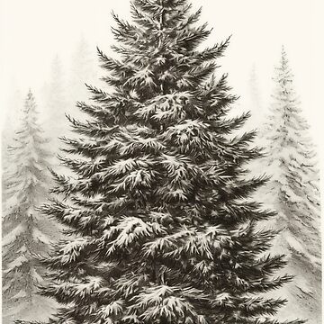 pencil drawing | how to draw a christmas tree | christmas tree drawing -  YouTube