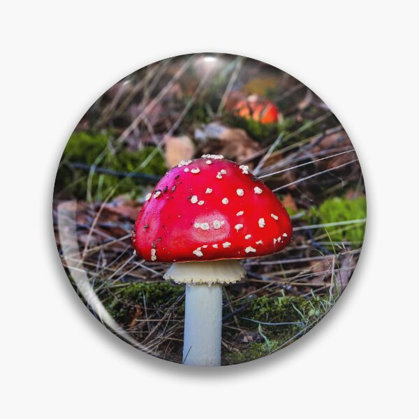 Artikelvorschau, Fliegenpilz im Wald - Fly agaric in forest entworfen und verkauft von Ruhrpottpicture.