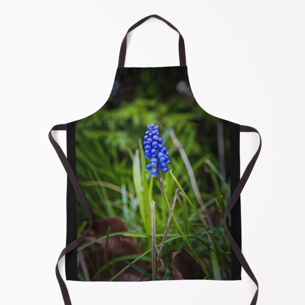 Artikelvorschau, Die Traubenhyazinthe - Muscari armeniacum - Grape hyacinth entworfen und verkauft von Ruhrpottpicture.