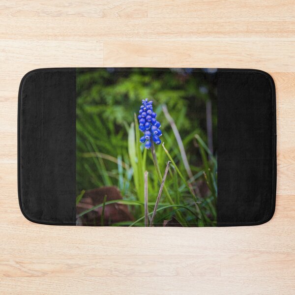 Artikelvorschau, Die Traubenhyazinthe - Muscari armeniacum - Grape hyacinth entworfen und verkauft von Ruhrpottpicture.