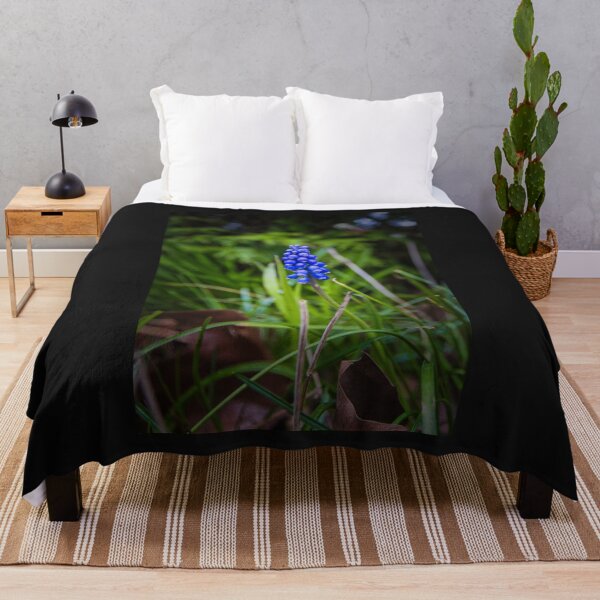 Item preview, The grape hyacinth - Muscari armeniacum - Grape hyacinth designed and sold by Ruhrpottpicture.