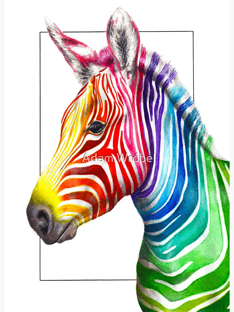Rainbow zebra stock vector. Illustration of contrast - 18396749