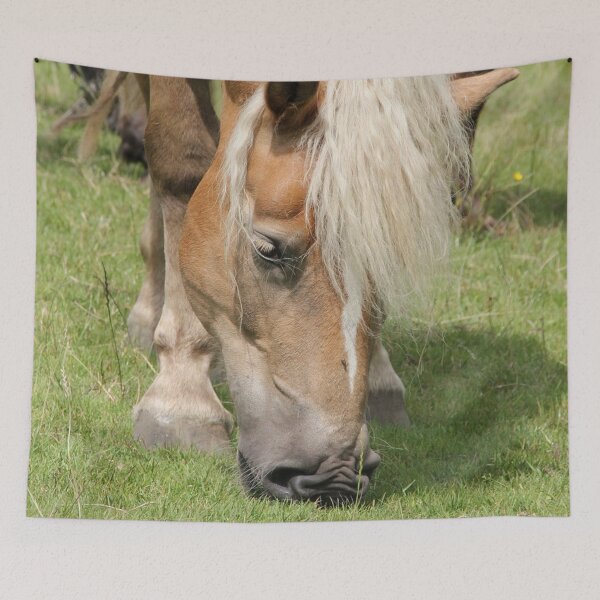 Item preview, Halfinger horse designed and sold by Yuna26.