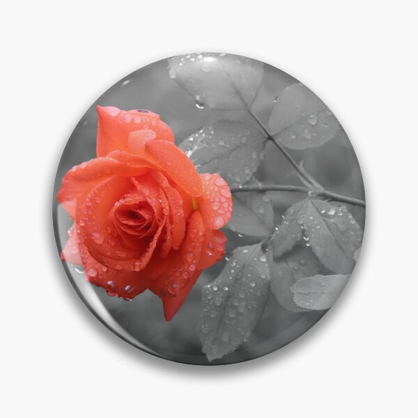 Item preview, Red Rose - red rose designed and sold by Ruhrpottpicture.
