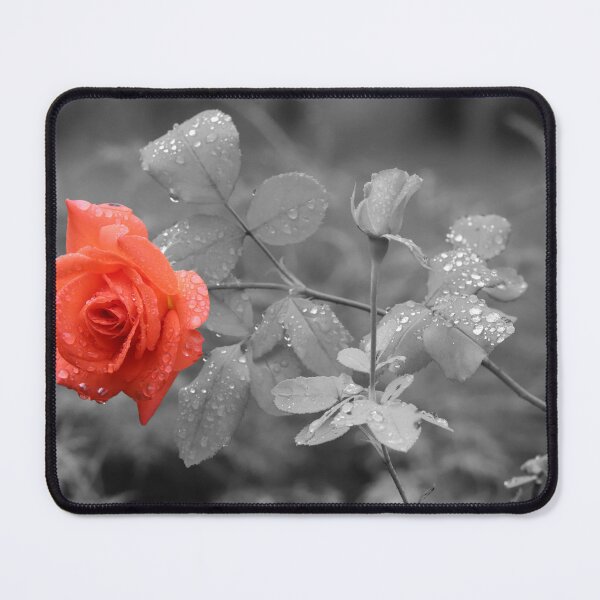 Item preview, Red Rose - red rose designed and sold by Ruhrpottpicture.