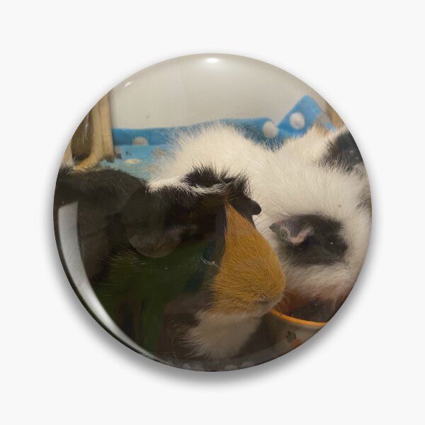 Item preview, guinea pig gang designed and sold by AlpacaSparkles.