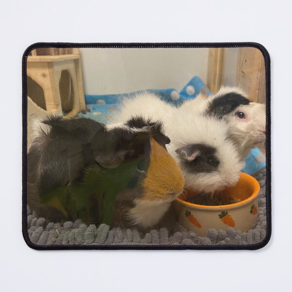 Item preview, guinea pig gang designed and sold by AlpacaSparkles.