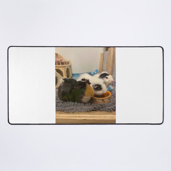 Item preview, guinea pig gang designed and sold by AlpacaSparkles.