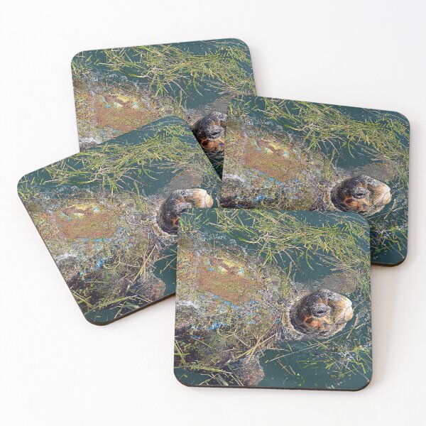 Item preview, Sea turtle in Argostoli harbour, Kefalonia, Greece designed and sold by Nick Pautrat.