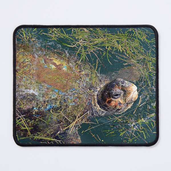 Item preview, Sea turtle in Argostoli harbour, Kefalonia, Greece designed and sold by Nick Pautrat.