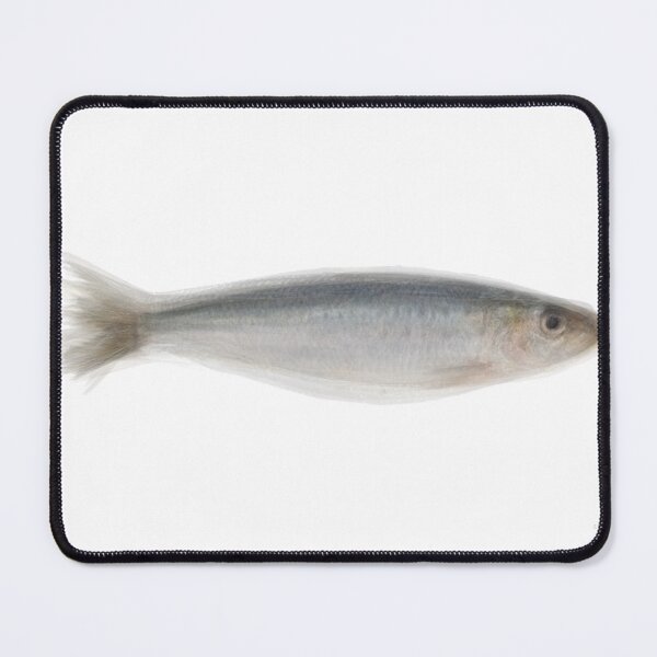 Item preview, Sardine overlay designed and sold by Steven Socha.