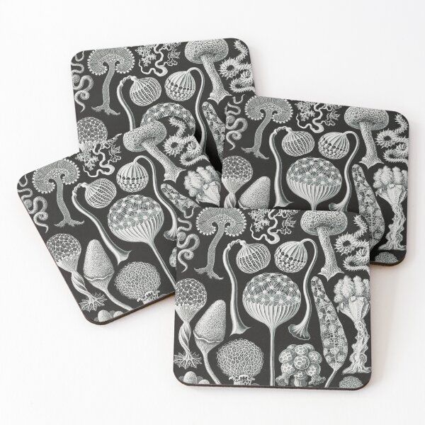 Item preview, Mycetozoa Artforms in Nature - mushrooms by Ernst Haeckel designed and sold by Freewheeling.