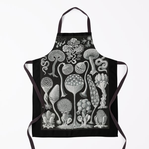 Item preview, Mycetozoa Artforms in Nature - mushrooms by Ernst Haeckel designed and sold by Freewheeling.