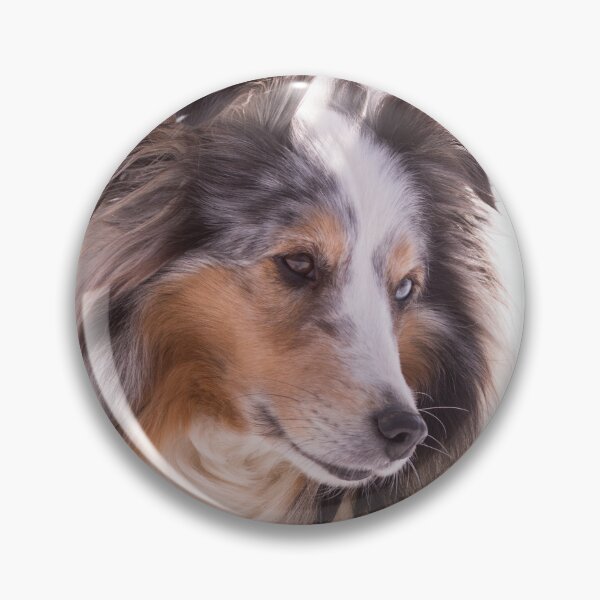 Item preview, Shetland Sheepdog Portrait designed and sold by SMiddlebrook.
