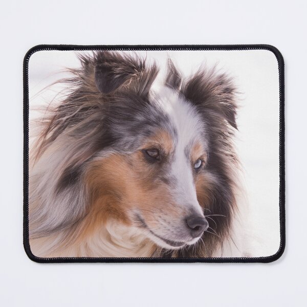 Item preview, Shetland Sheepdog Portrait designed and sold by SMiddlebrook.
