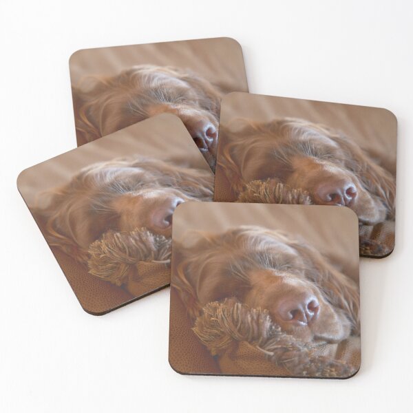 Item preview, Sleepy Sussex Spaniel designed and sold by SMiddlebrook.