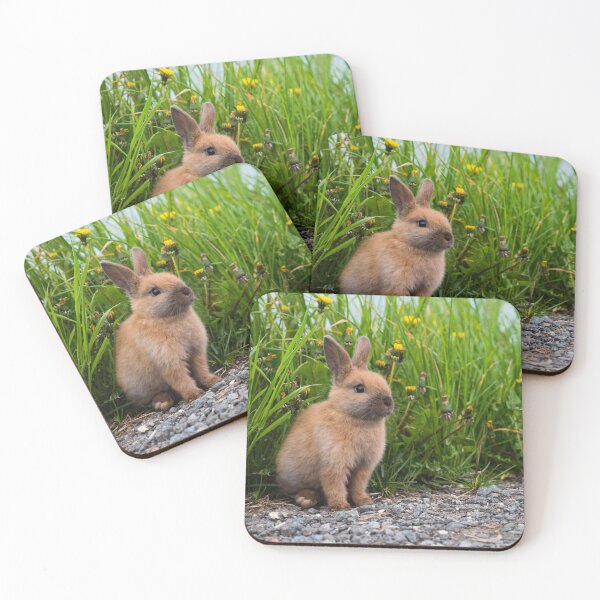 Item preview, Rabbit Garden designed and sold by newburyboutique.