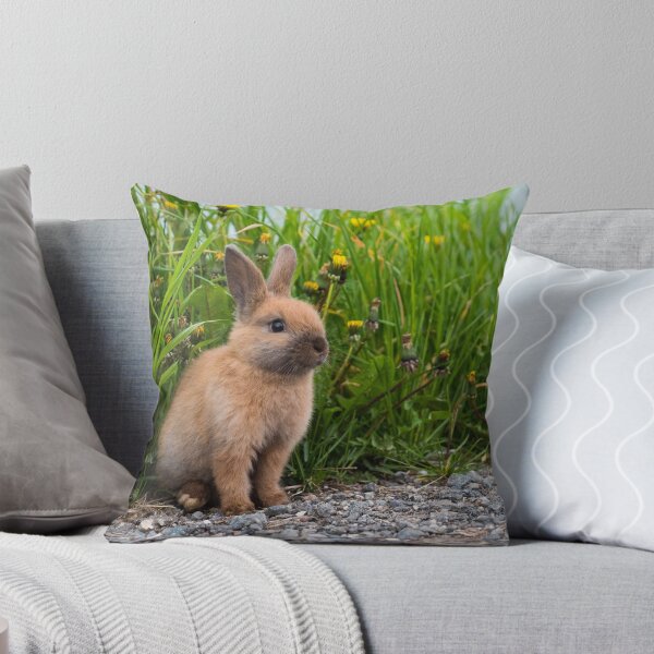 Item preview, Rabbit Garden designed and sold by newburyboutique.