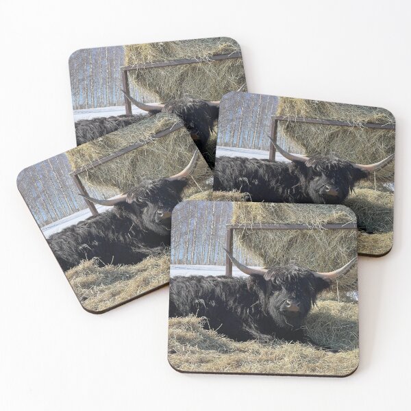 Item preview, Scottish Highland Cattle Cow 4376 designed and sold by SaarelaHighland.