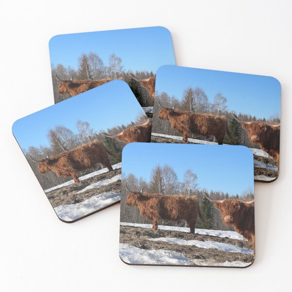 Artikelvorschau, Scottish Highland Cattle Cows 4382 entworfen und verkauft von SaarelaHighland.