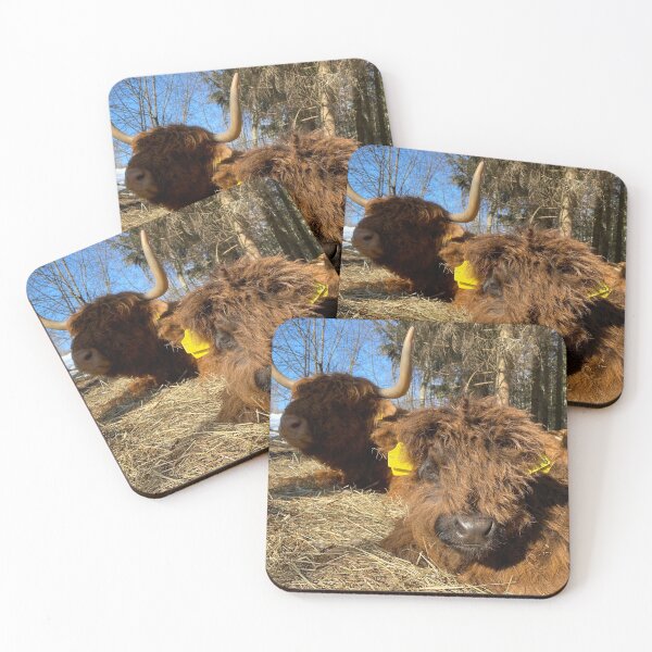 Item preview, Scottish Highland Cattle Calf 4386 designed and sold by SaarelaHighland.
