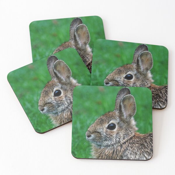 Item preview, Bunny In The Rain designed and sold by Deb Oppermann.