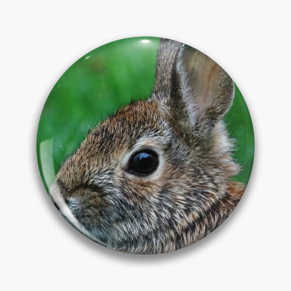 Item preview, Bunny In The Rain designed and sold by Deb Oppermann.