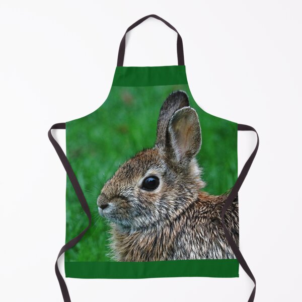 Item preview, Bunny In The Rain designed and sold by Deb Oppermann.
