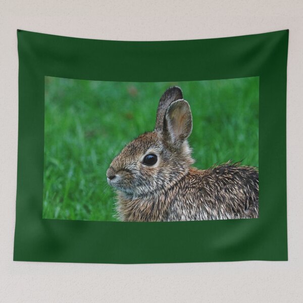 Item preview, Bunny In The Rain designed and sold by Deb Oppermann.