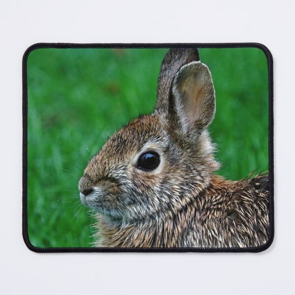 Item preview, Bunny In The Rain designed and sold by Deb Oppermann.