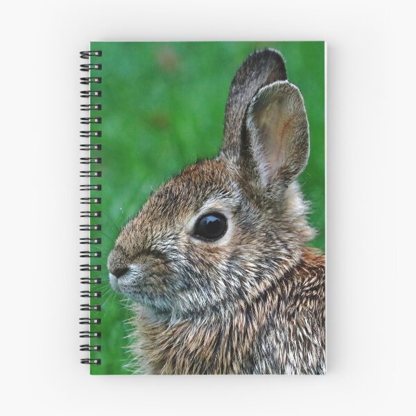 Item preview, Bunny In The Rain designed and sold by Deb Oppermann.