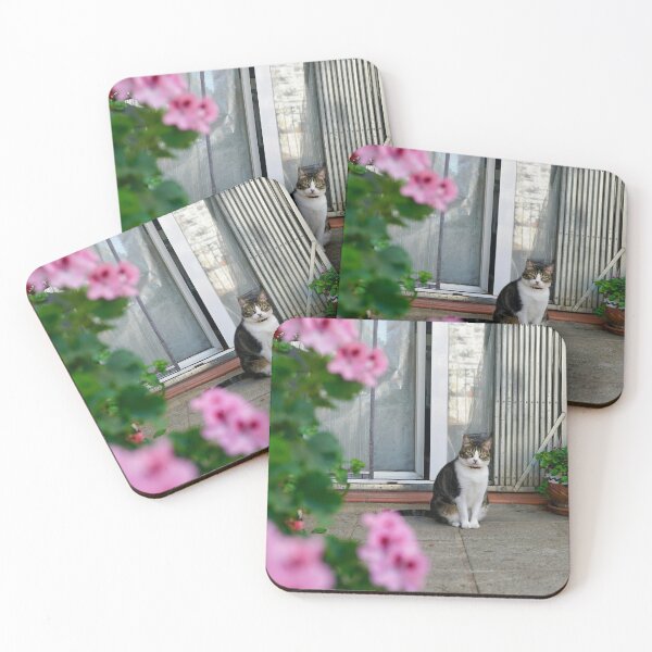 Item preview, Mijas pueblo cat Spain andalusia Mijas Malaga  designed and sold by Tropical Blood.