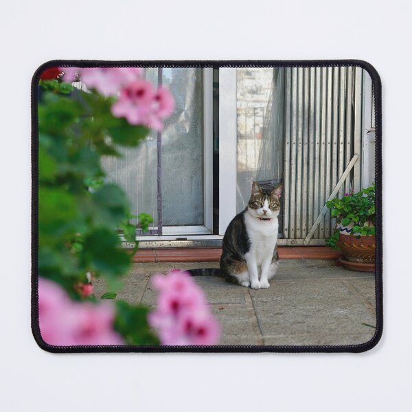 Item preview, Mijas pueblo cat Spain andalusia Mijas Malaga  designed and sold by Tropical Blood.